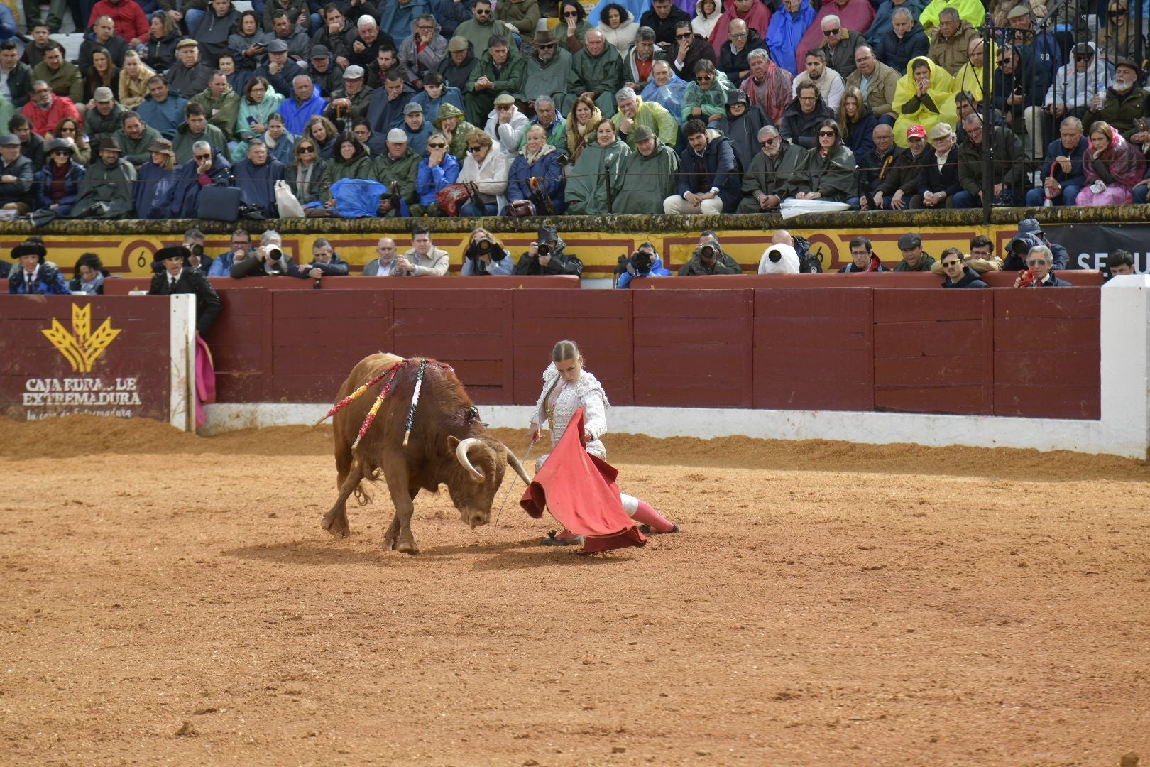 La novillada dominical de Olivenza, en imágenes