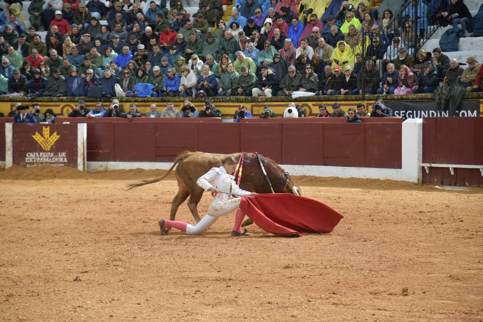 La novillada dominical de Olivenza, en imágenes