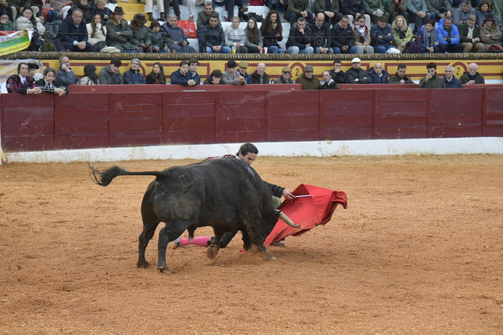 La corrida de Talavante, Manzanares y Juan Ortega, en imágenes