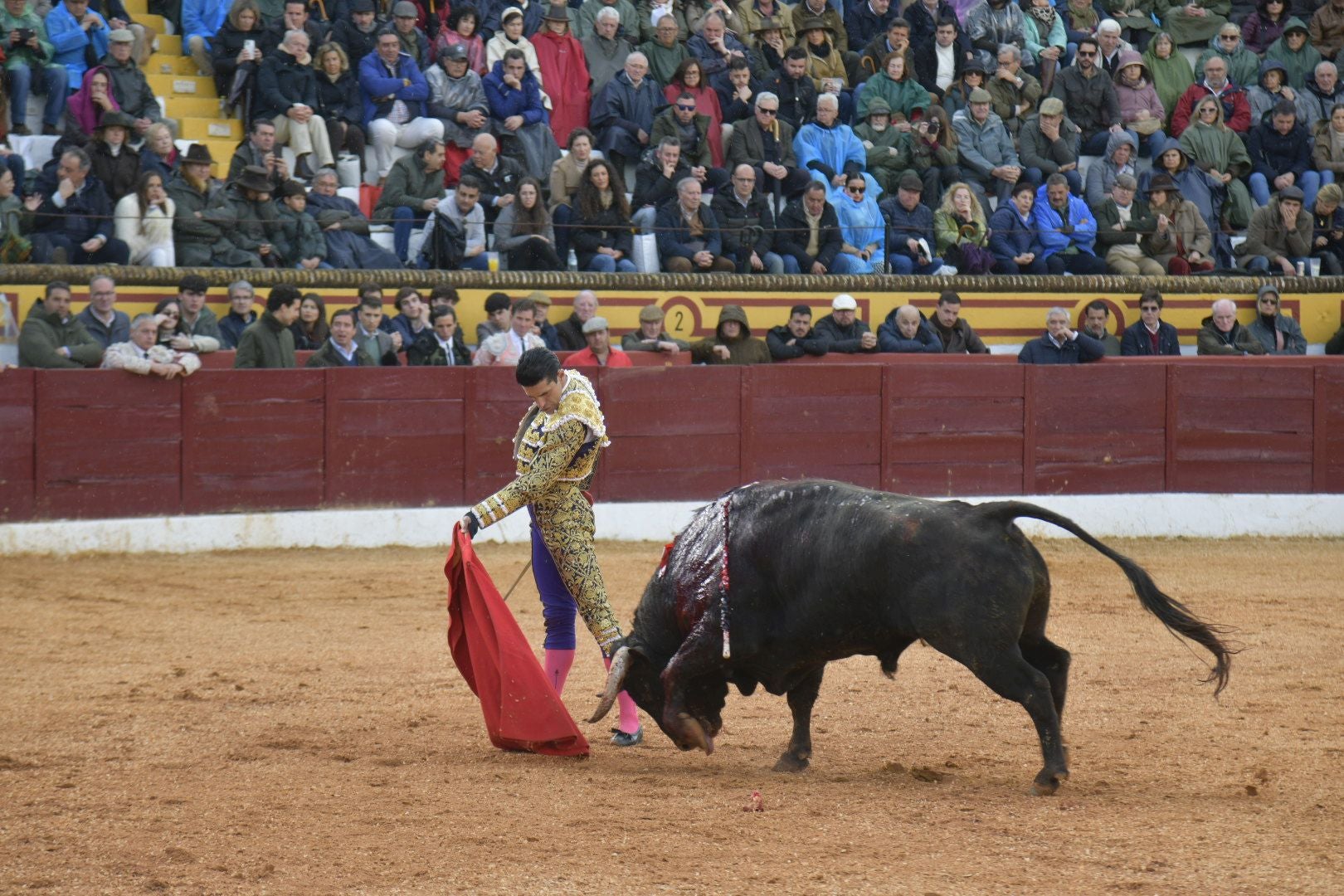 La corrida de Talavante, Manzanares y Juan Ortega, en imágenes