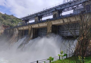 Seis presas cacereñas empiezan a desembalsar