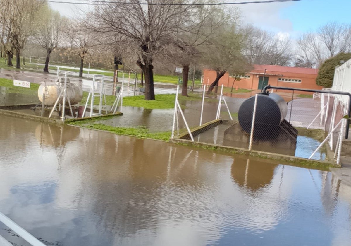 Instalaciones del colegio Virgen de la Vega, anegadas por la crecida de la rivera de Gata, este martes.