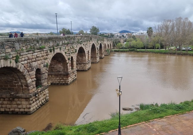 Río Guadiana con más caudal y aguas turbias a su paso por el casco urbano de Mérida.