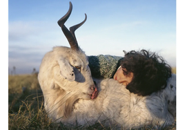 El ataque de las cabras