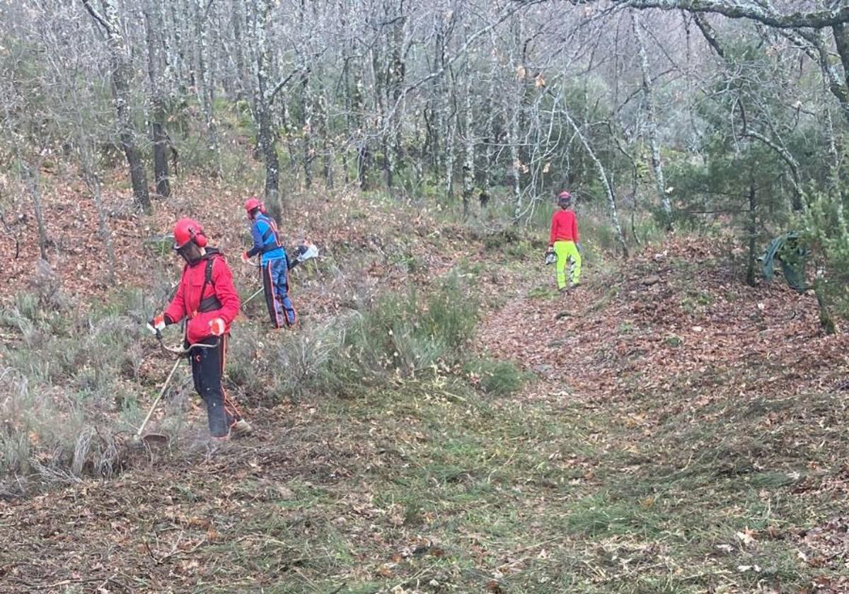 Operarios en el desbroce del camino de Castilla.