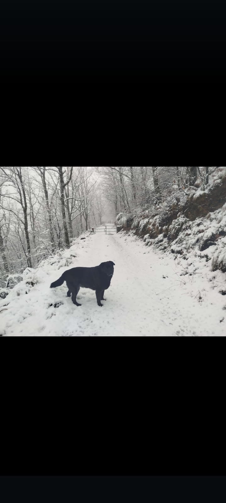 Tornavacas bajo la nieve