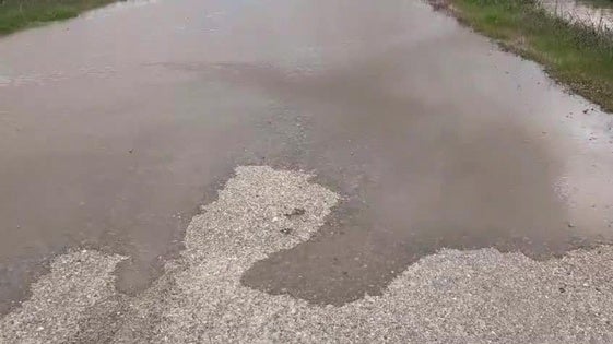 Así avanza el agua en Medellín por la crecida del río Ortiga