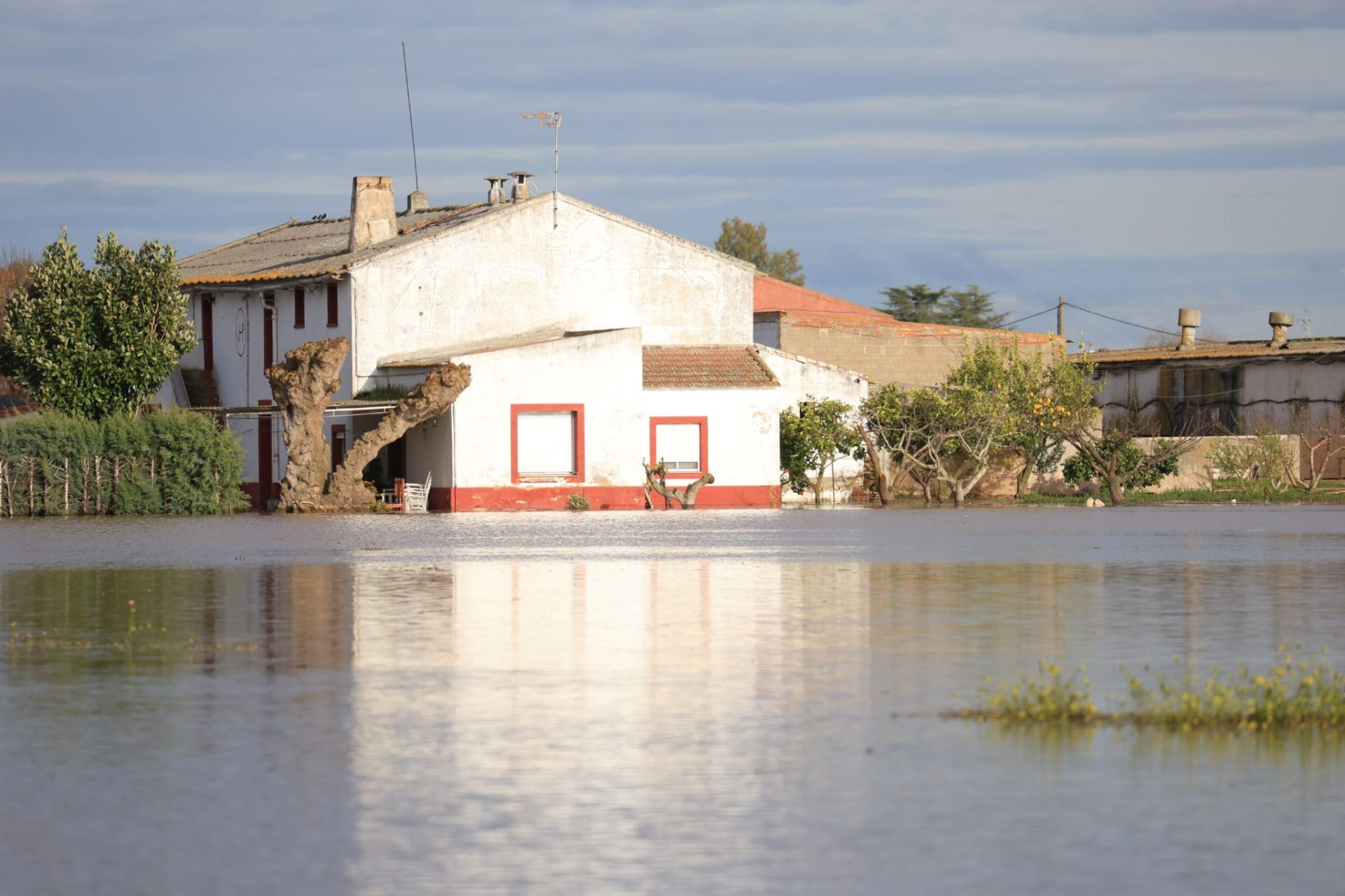 Fotos | Así está Medellín tras la crecida del Guadiana y el Ortiga