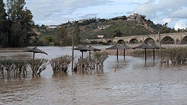 Fotos | Así está Medellín tras la crecida del Guadiana y el Ortiga