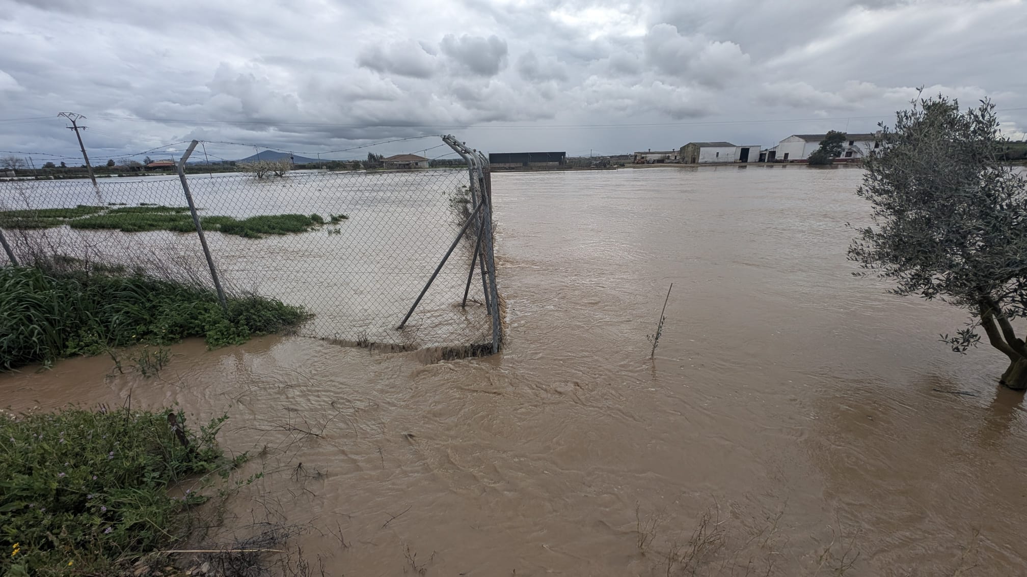 Fotos | Así está Medellín tras la crecida del Guadiana y el Ortiga