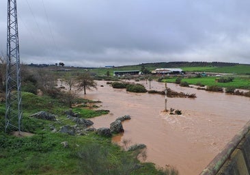 Fotos | Efectos de las crecidas de arroyos y ríos en Extremadura