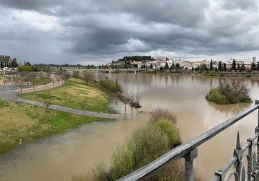Nivel del río Guadina a su paso por Badajoz.