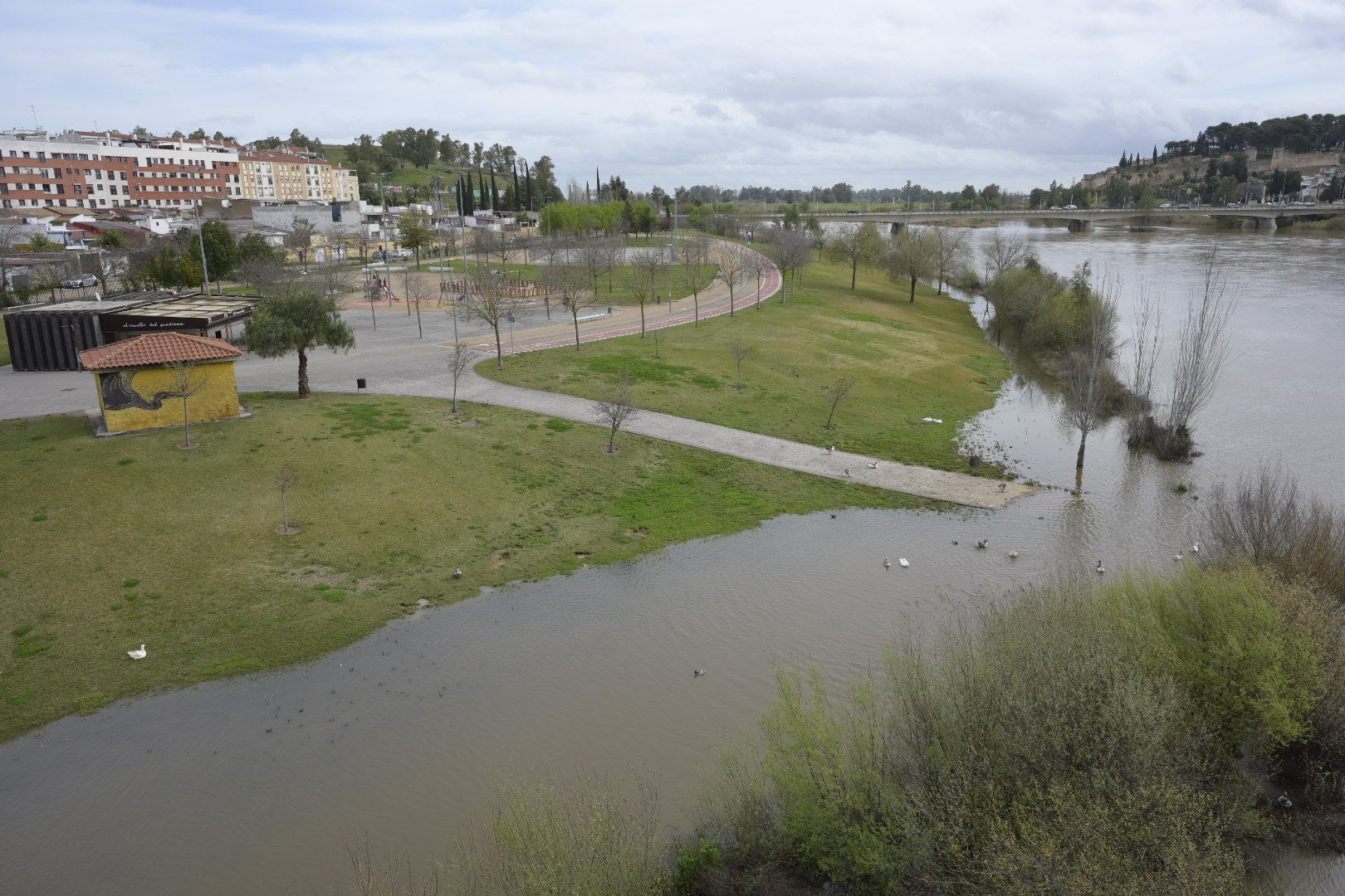 La crecida de Guadiana empieza a inundar parques en Badajoz y Mérida