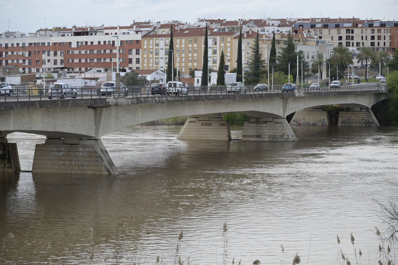 Así han quedado los parques de Extremadura tras la crecida del Guadiana