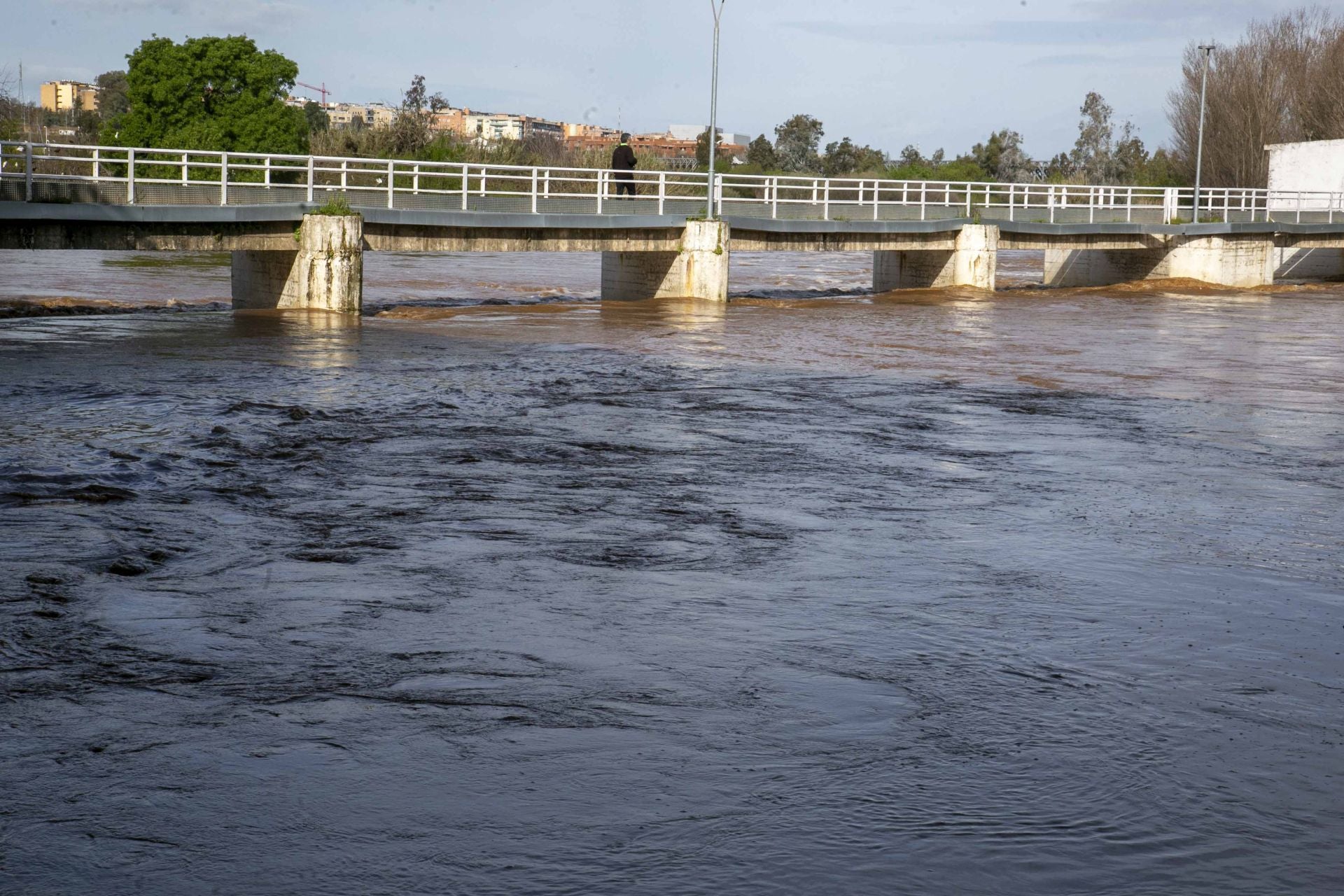 Así han quedado los parques de Extremadura tras la crecida del Guadiana