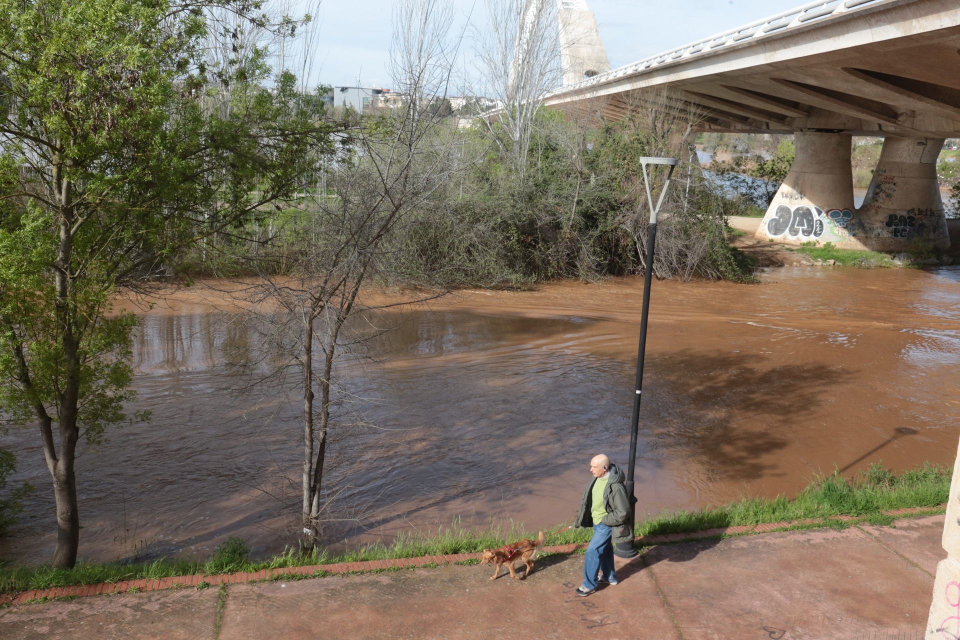 Imágenes: así va el río Guadiana a su paso por Mérida