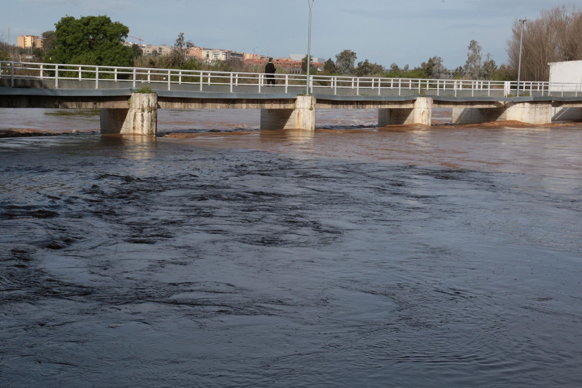 Imágenes: así va el río Guadiana a su paso por Mérida