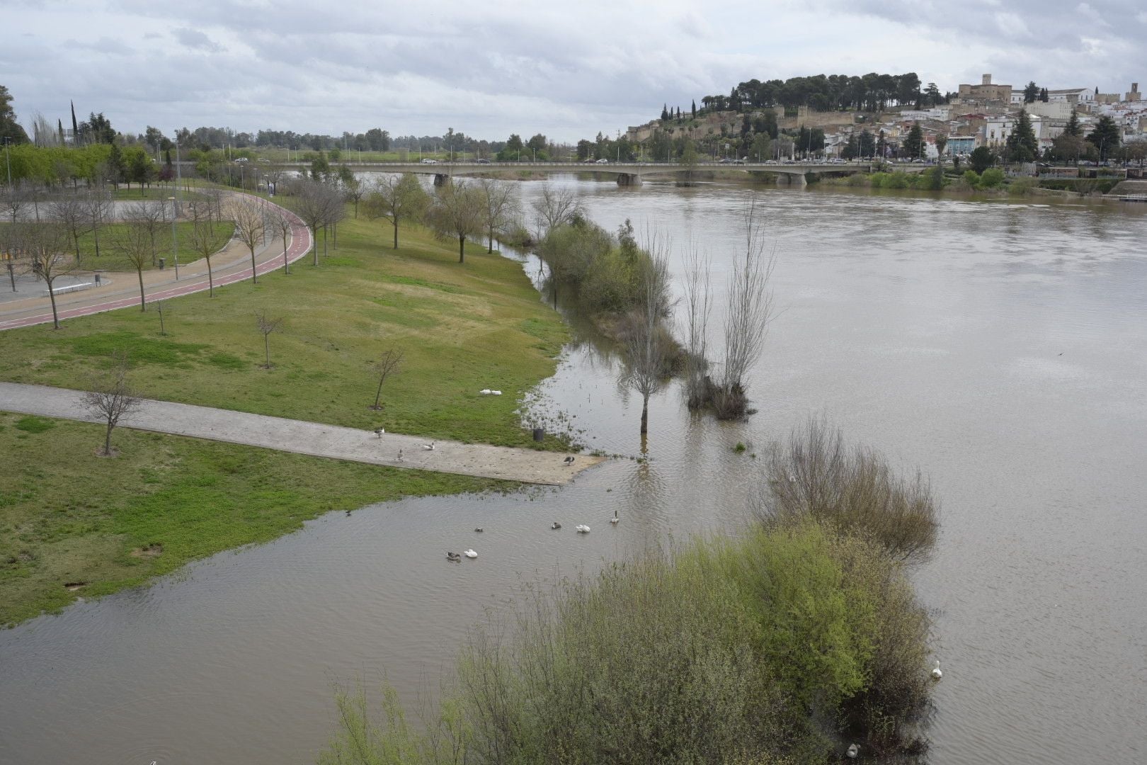 La crecida del Guadiana en Badajoz, en imágenes