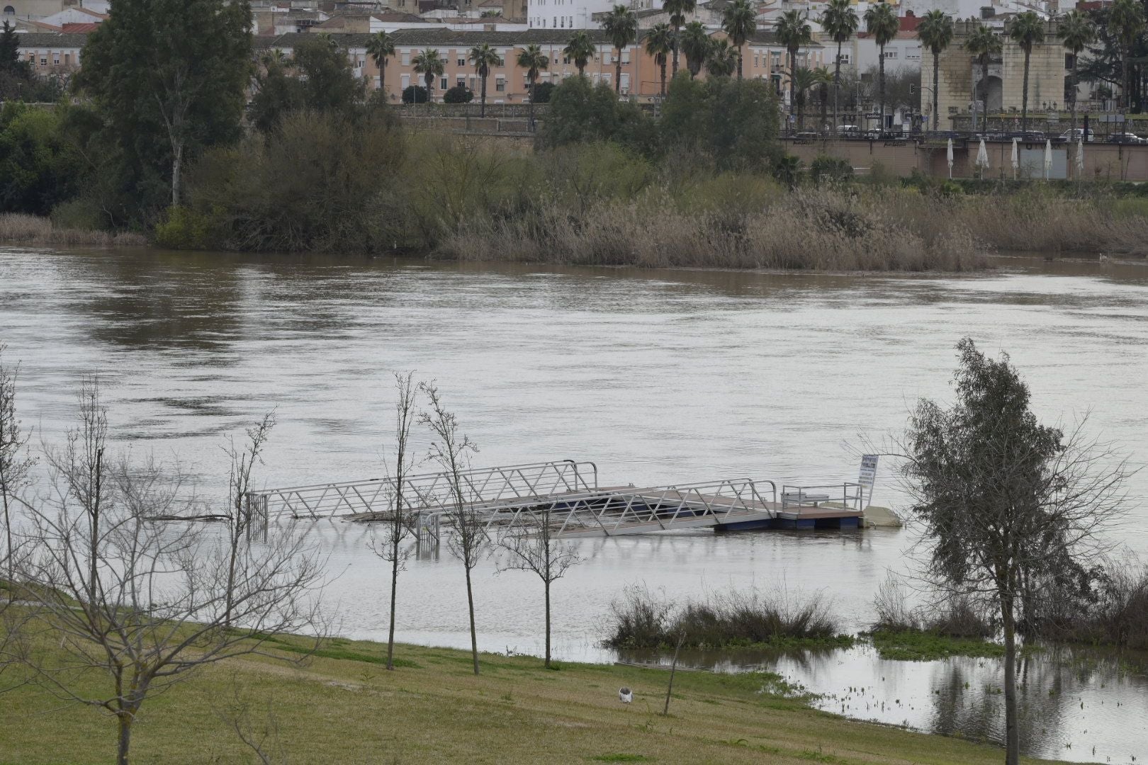 La crecida del Guadiana en Badajoz, en imágenes