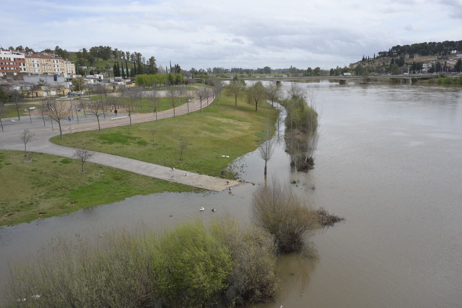 La crecida del Guadiana en Badajoz, en imágenes