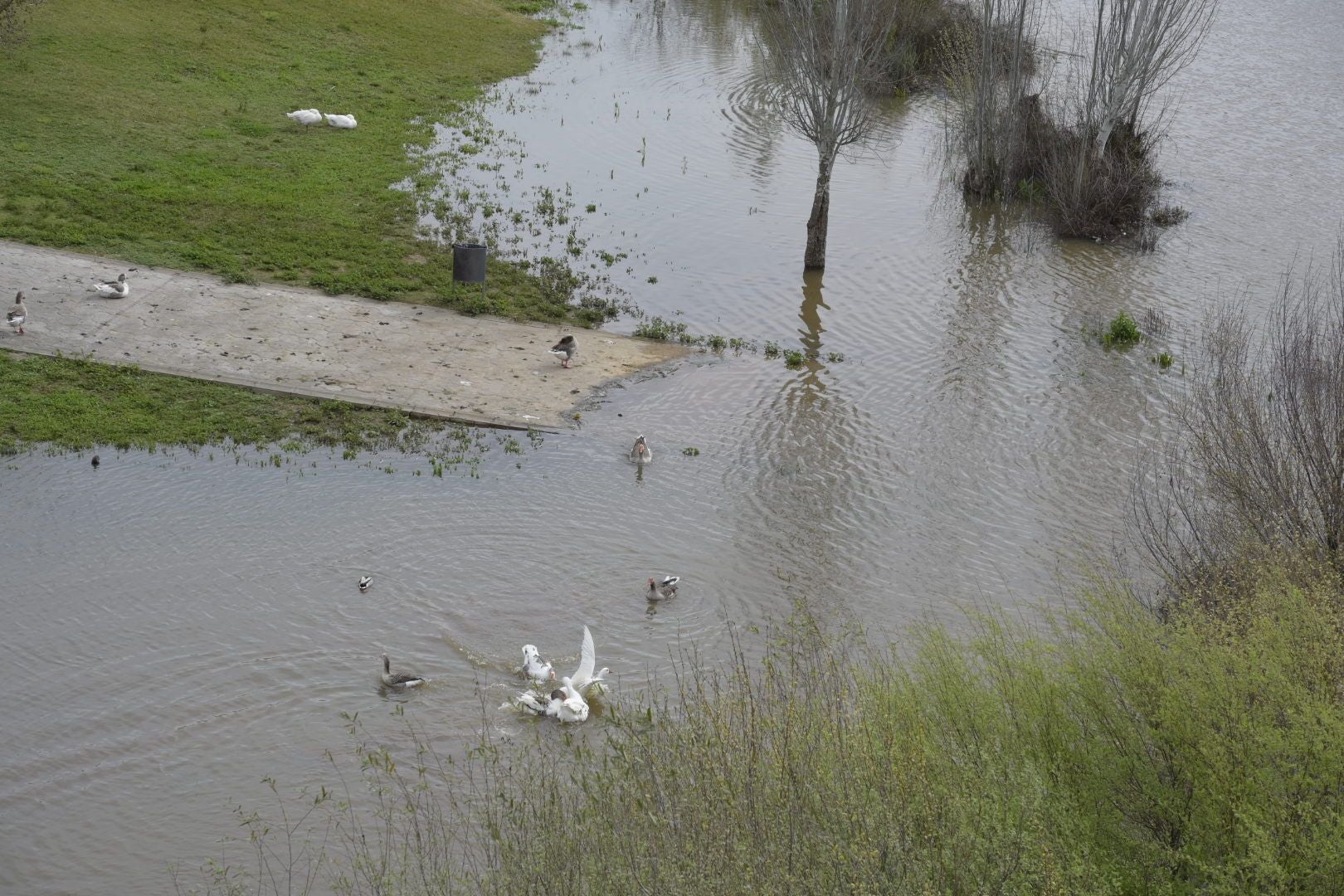 La crecida del Guadiana en Badajoz, en imágenes