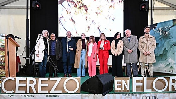 Comienza la Fiesta del Cerezo en Flor, aunque la floración no se espera hasta finales de marzo