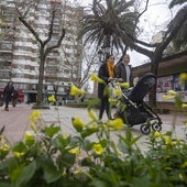 Los primeros síntomas para los alérgicos llegarán a finales de marzo.
