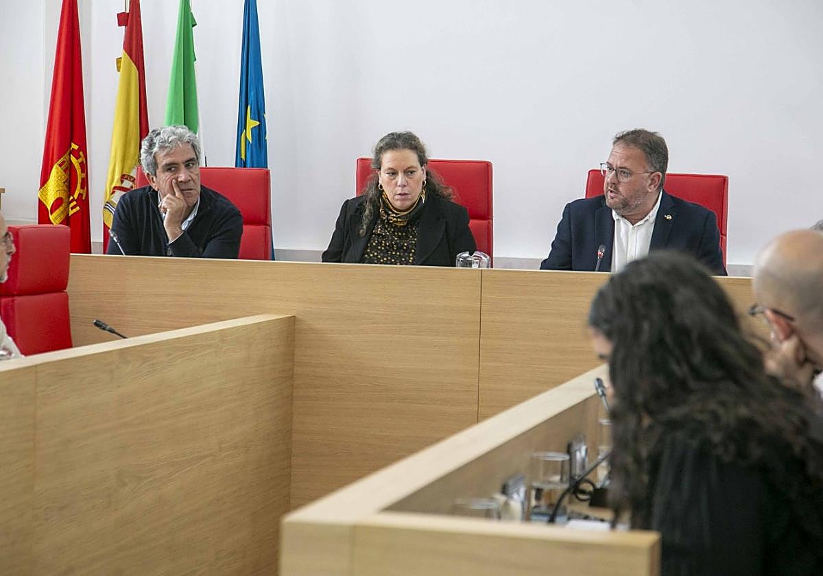 La concejala de Hacienda, Carmen Yáñez, defendiendo los presupuestos en el pleno.