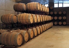Barriles en una bodega.