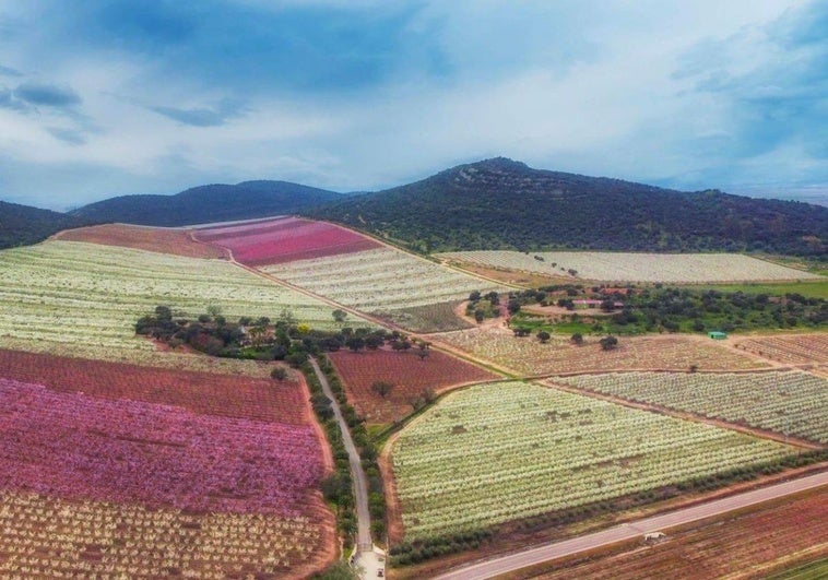 Las temperaturas primaverales se imponen en Extremadura hasta alcanzar los 25 grados