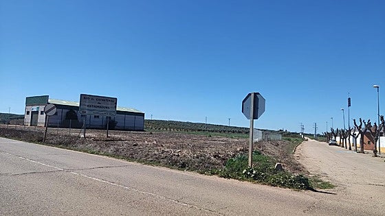 Planifican una fábrica de higos en Guareña que funcionará antes de 2028