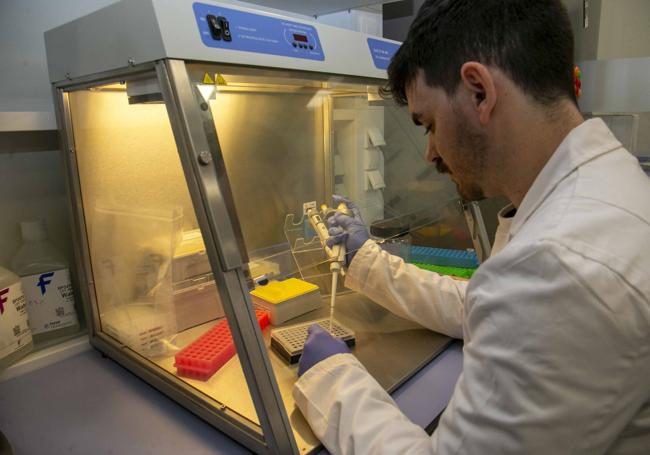 Cada partida se analiza en el laboratorio de la empresa.