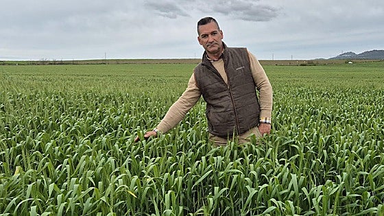 «Si fuera por mí, a mi hijo no le aconsejaría la agricultura»