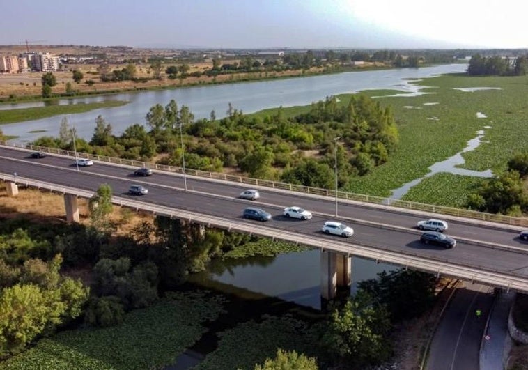 Quintana dice que la retirada del nenúfar del río será «una obra única en el mundo»