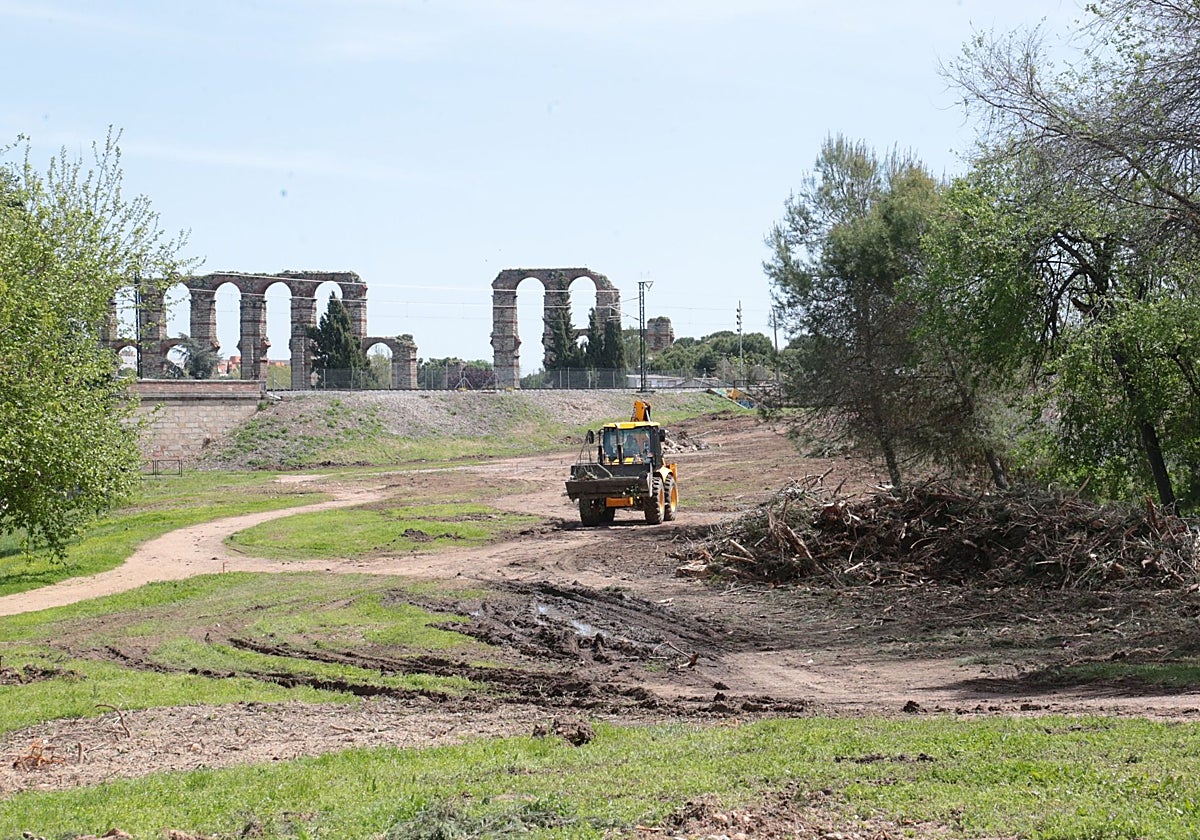 Una máquina trabajando junto a los restos de árboles y vegetación.