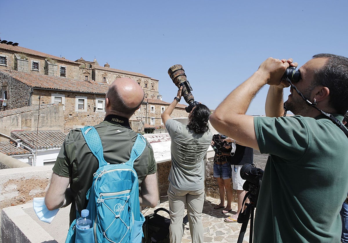 Observación de aves en la Ciudad Monumental en una edición anterior del festival.