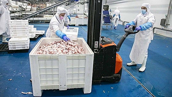 Los permisos para el gran matadero de ibérico Zafra, más cerca