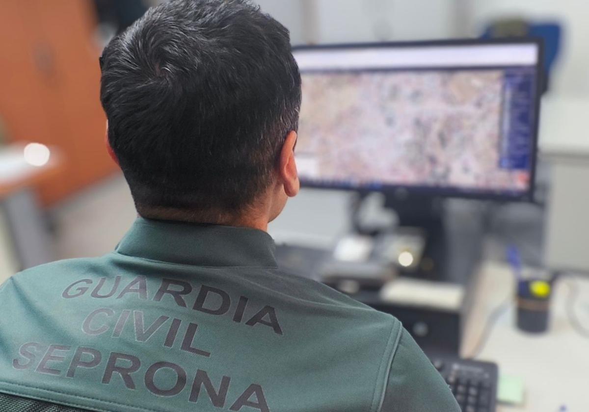 Investigados diez participantes de una montería por falsedad documental y pertenencia a grupo criminal
