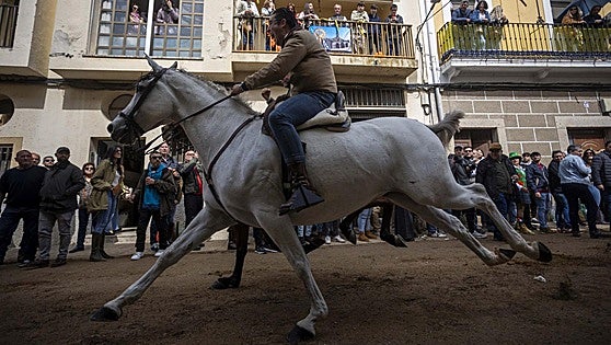 Así han cruzado los jinetes por La Corredera de Arroyo de la Luz