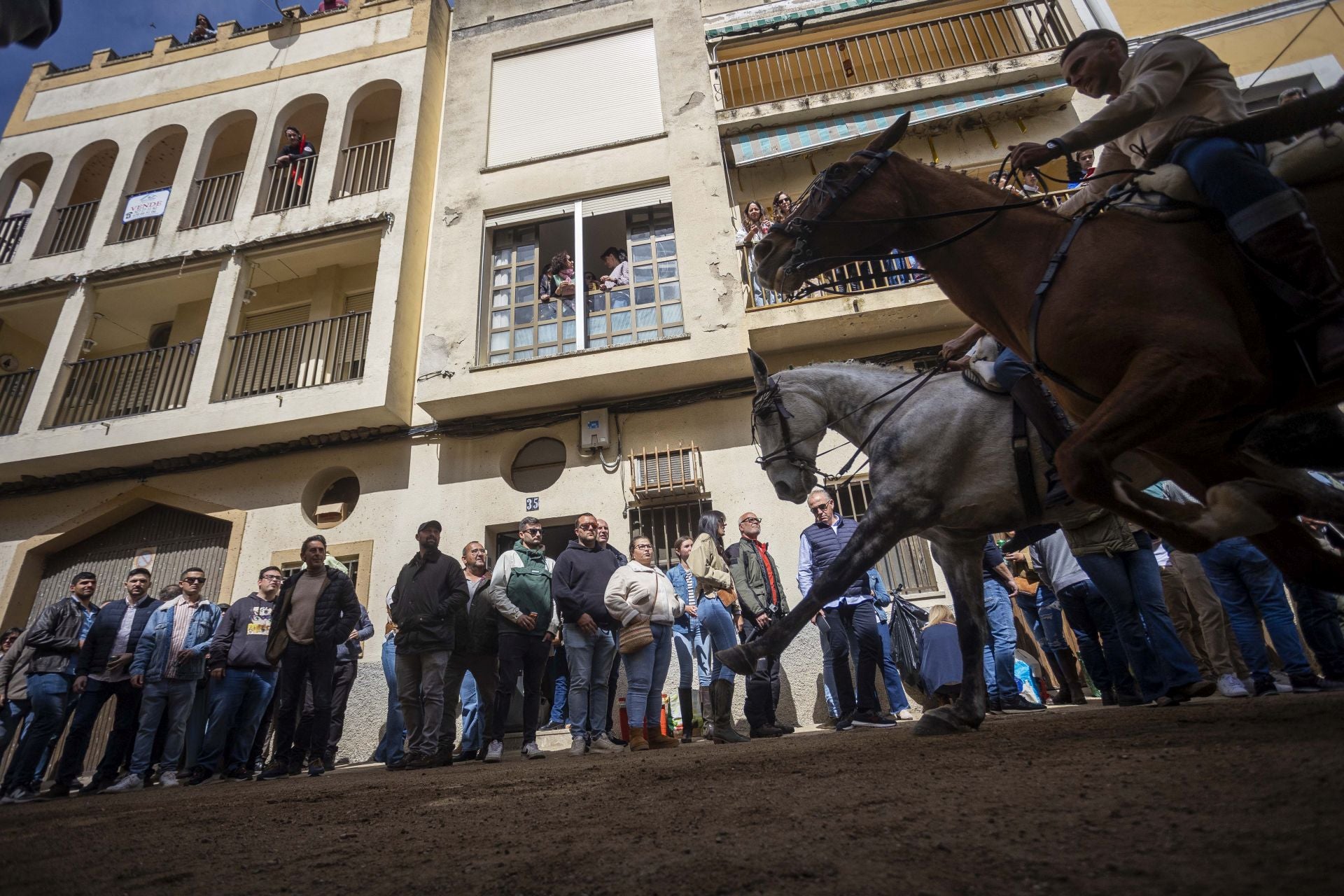 Así han cruzado los jinetes por La Corredera de Arroyo de la Luz