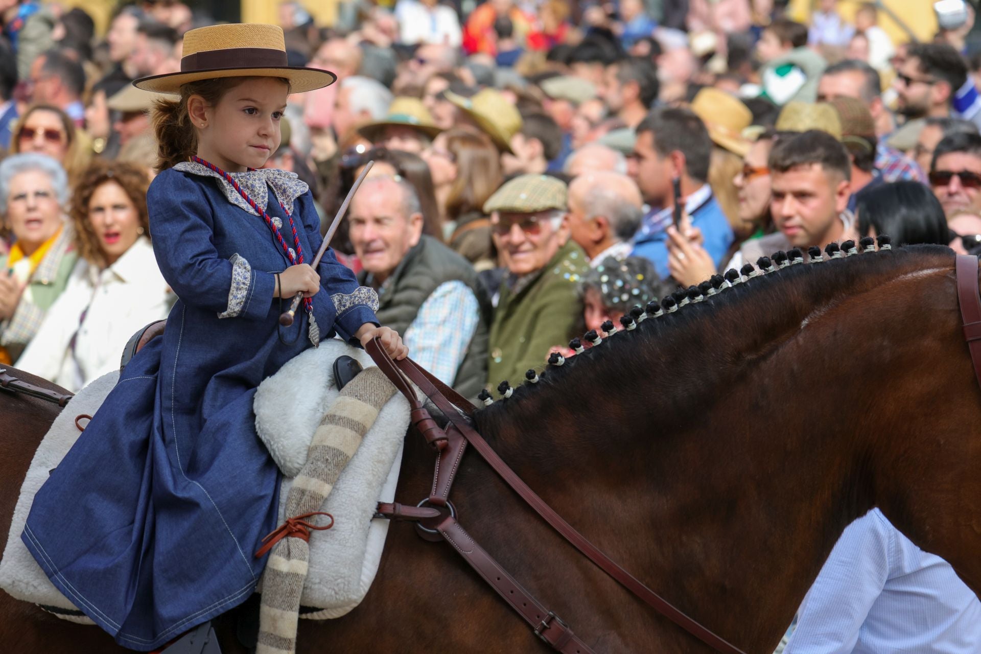Fotos: Desfile de carrozas de la romería de Piedraescrita de Campanario