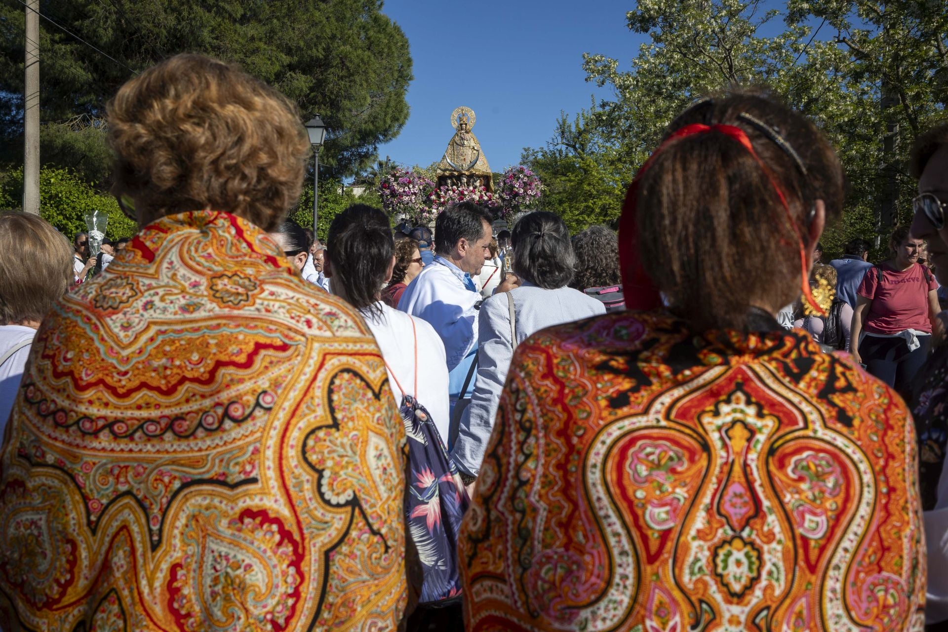 La bajada de la Virgen de la Montaña a la ciudad, en imágenes