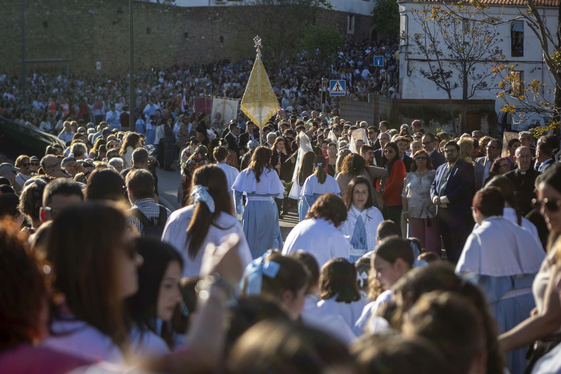 La bajada de la Virgen de la Montaña a la ciudad, en imágenes