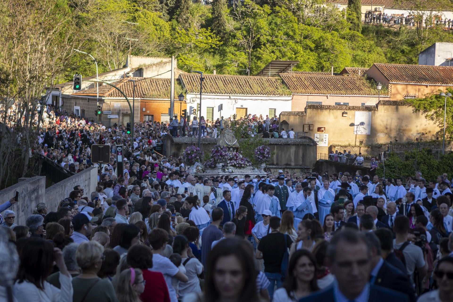 La bajada de la Virgen de la Montaña a la ciudad, en imágenes