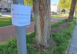 Avisos del tratamiento con fitosanitarios en Badajoz.
