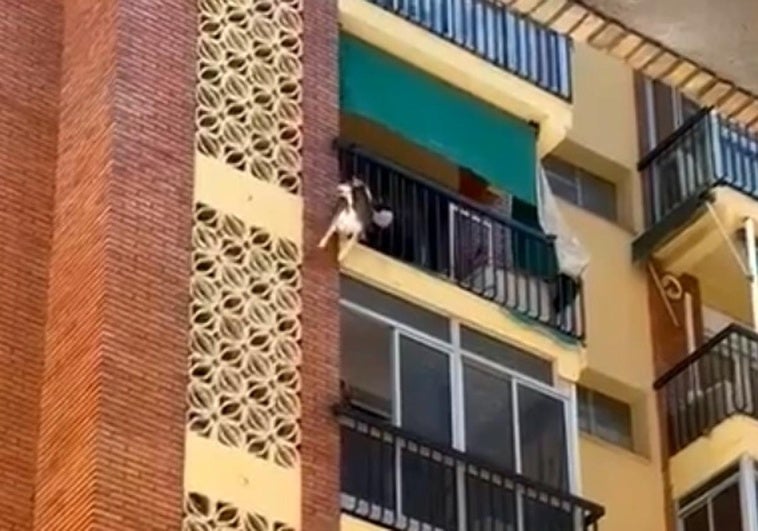 El perro, antes de ser rescatado por los agentes.
