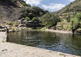 Brezo en los tejados