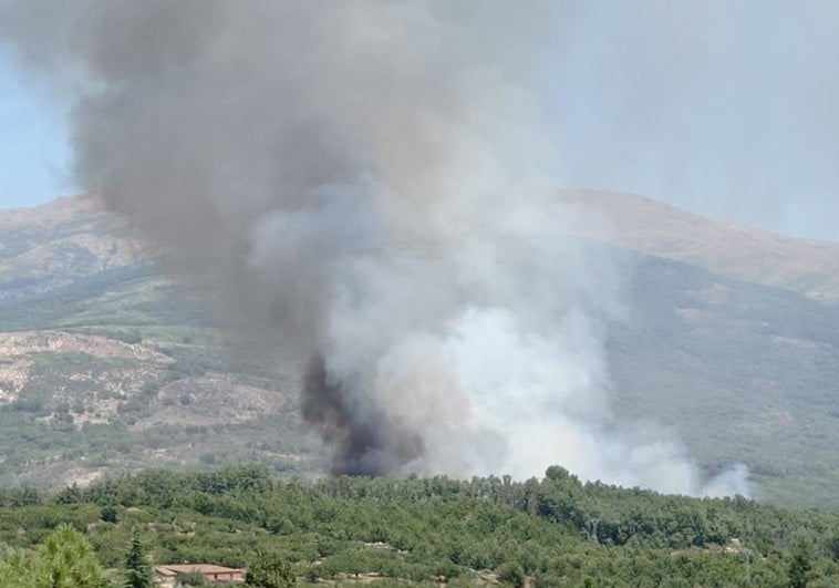 Cuatro años y medio de cárcel por provocar cuatro incendios forestales en La Vera