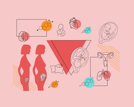 Así cambian el cuerpo de la madre y del bebé durante el embarazo