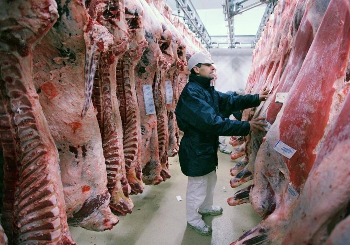Come carne con cabeza, no la elimines sin razón